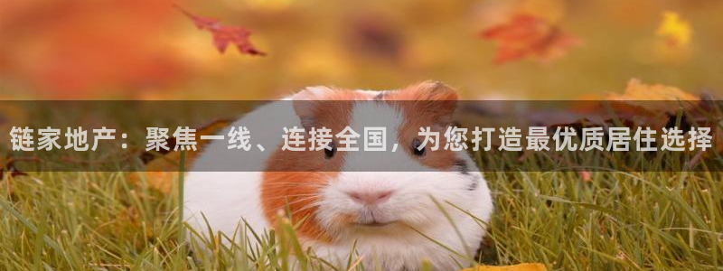 天狮娱乐 官方网站：链家地产：聚焦一线、连接全国，为您打造最