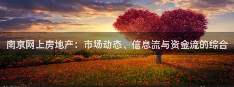 天狮娱乐运营：南京网上房地产：市场动态、信息流与资金流的综合