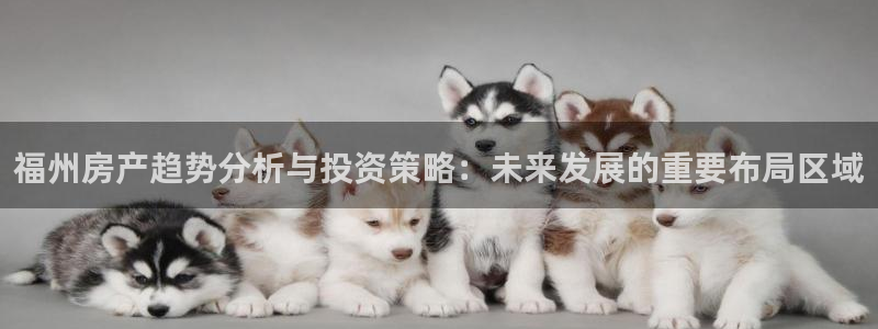 天狮娱乐指尖自