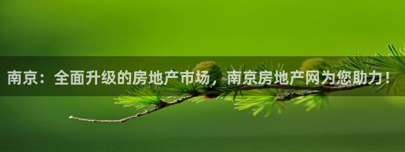 天狮娱乐平台注册官网：南京：全面升级的房地产市场，南京房地产
