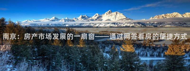 天狮娱乐主管29229：南京：房产市场发展的一扇窗——通过网