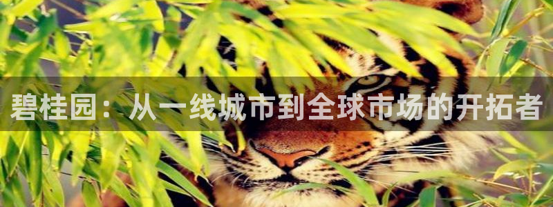 苏州狮山龙湖天街娱乐：碧桂园：从一线城市到全球市场的开拓者