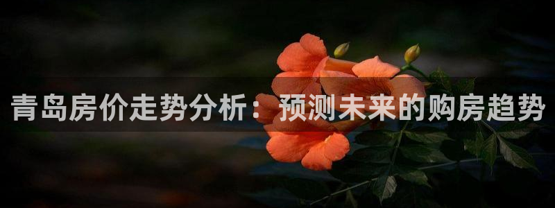 天狮娱乐指尖可：青岛房价走势分析：预测未来的购房趋势