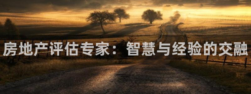 天狮娱乐丶品rd01 vip：房地产评估专家：智慧与经验的交
