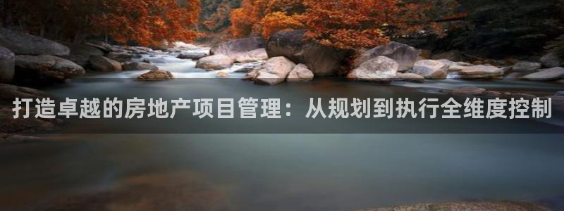 天狮天狮娱乐娱乐q：打造卓越的房地产项目管理：从规划到执行全