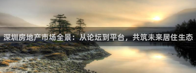 天狮娱乐股东主管：深圳房地产市场全景：从论坛到平台，共筑未来