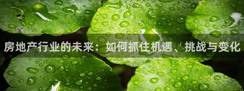 天狮娱乐靠谱吗：房地产行业的未来：如何抓住机遇、挑战与变化