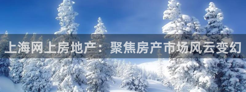 天狮娱乐鱼刺A软件：上海网上房地产：聚焦房产市场风云变幻
