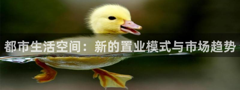 天狮娱乐 a招商60447：都市生活空间：新的置业模式与市场