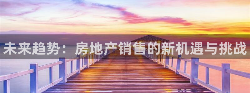 天狮娱乐违法行为：未来趋势：房地产销售的新机遇与挑战