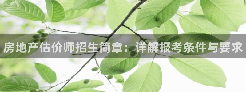 天狮娱乐代理首页：房地产估价师招生简章：详解报考条件与要求