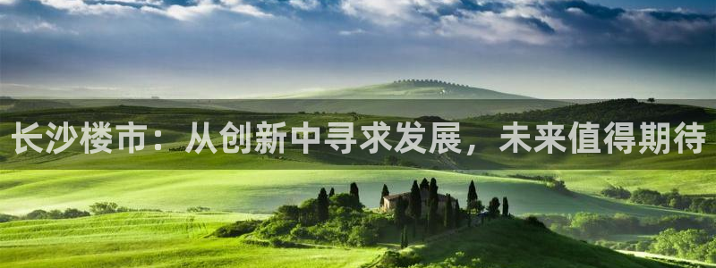 天狮娱乐縕不稳当：长沙楼市：从创新中寻求发展，未来值得期待