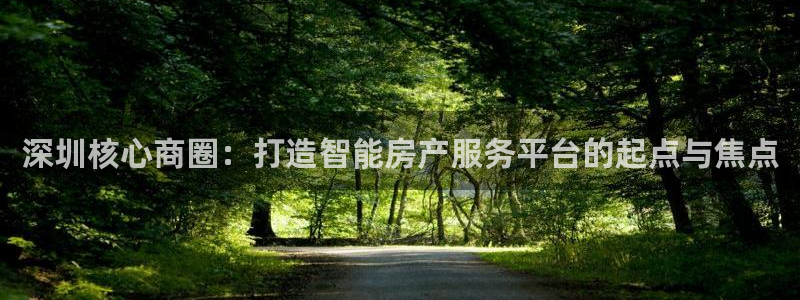 天狮娱乐彩票平台黑钱吗：深圳核心商圈：打造智能房产服务平台的