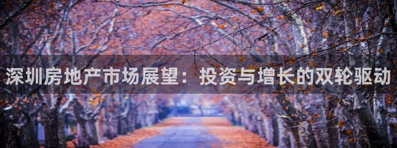 天狮娱乐彩票平台黑钱吗：深圳房地产市场展望：投资与增长的双轮