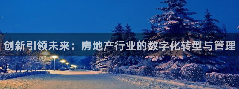 天狮娱乐 送彩金酷赢：创新引领未来：房地产行业的数字化转型与