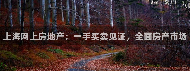 天狮娱乐60447股东