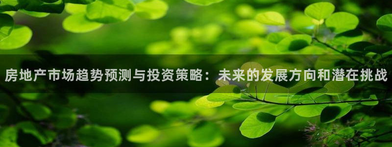 天狮娱乐主：房地产市场趋势预测与投资策略：未来的发展方向和潜
