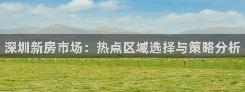 天狮源娱乐平台注册：深圳新房市场：热点区域选择与策略分析