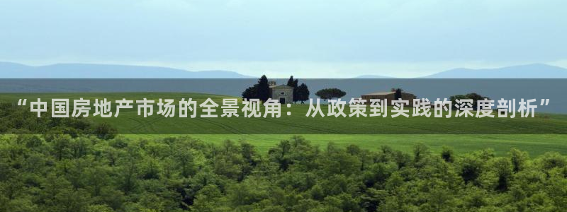 天狮娱乐注册官方：“中国房地产市场的全景视角：从政策到实践的
