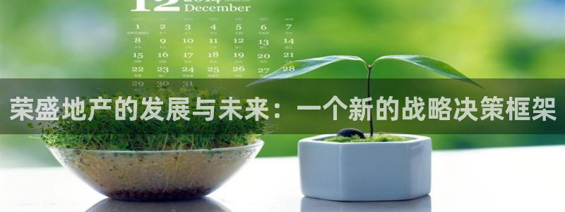 天狮娱乐是真是假：荣盛地产的发展与未来：一个新的战略决策框架