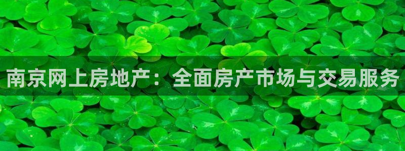 天狮娱乐 接待 0：南京网上房地产：全面房产市场与交易服务