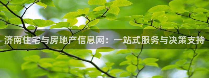 天狮娱乐是黑平台吗：济南住宅与房地产信息网：一站式服务与决策