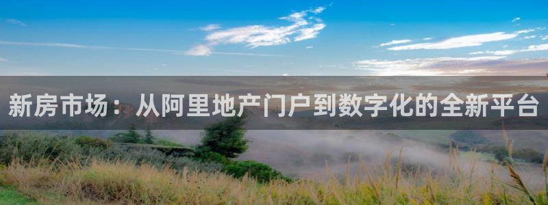 天狮娱乐怎么做代理：新房市场：从阿里地产门户到数字化的全新平