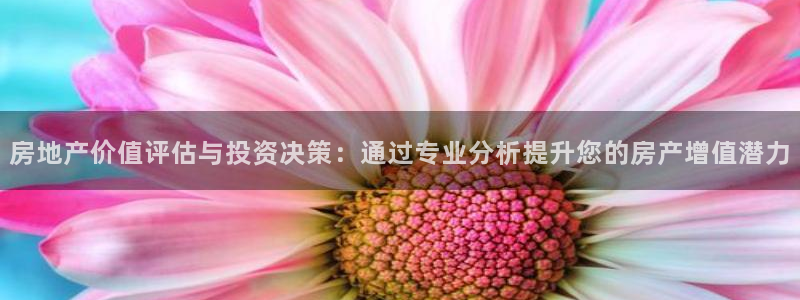 天狮娱乐会员：房地产价值评估与投资决策：通过专业分析提升您的