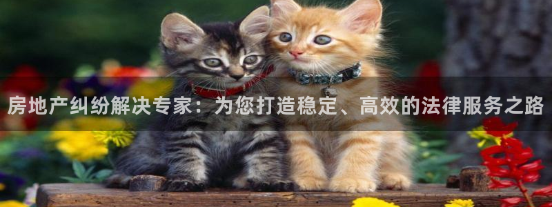 天狮娱乐行：房地产纠纷解决专家：为您打造稳定、高效的法律服务