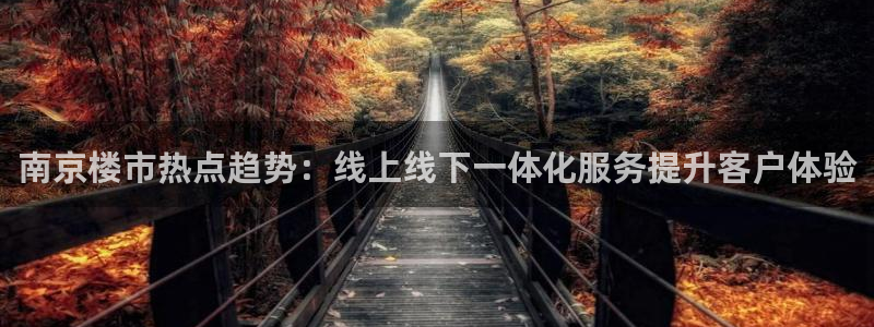 天狮娱乐彩票怎么玩：南京楼市热点趋势：线上线下一体化服务提升
