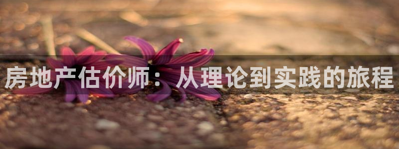 天狮娱乐里：房地产估价师：从理论到实践的旅程