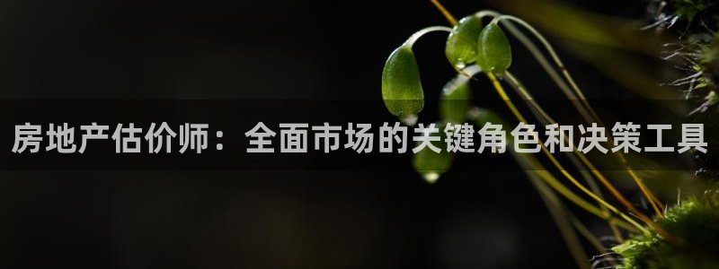 天狮娱乐平台贴吧：房地产估价师：全面市场的关键角色和决策工具