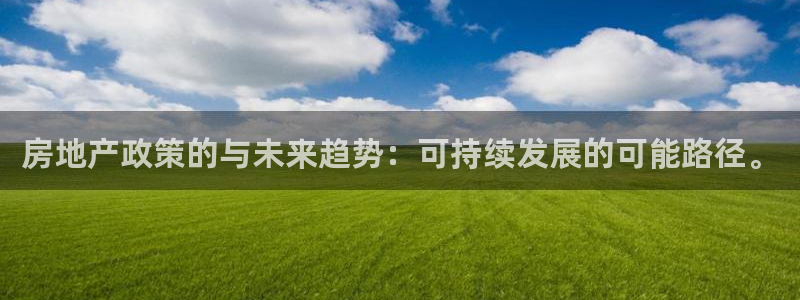 天狮娱乐q 去108-306：房地产政策的与未来趋势：可持续