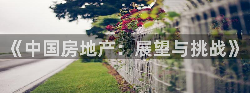 天狮娱乐指尖得：《中国房地产：展望与挑战》
