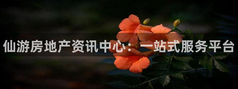 天狮娱乐¤股s东50015：仙游房地产资讯中心：一站式服务平