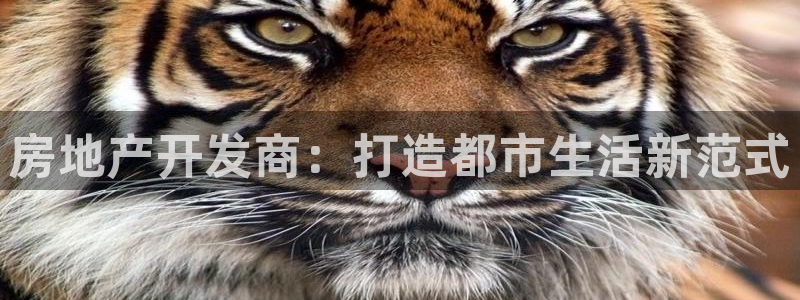 天狮娱乐平台招商：房地产开发商：打造都市生活新范式