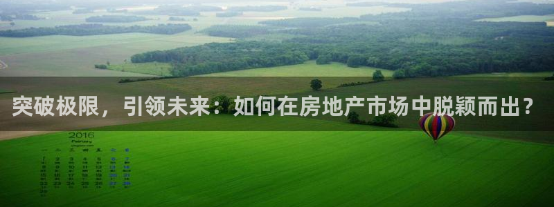 天狮娱乐来0 1311：突破极限，引领未来：如何在房地产市场