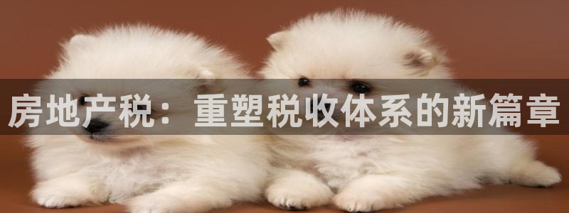 天狮娱乐首页：房地产税：重塑税收体系的新篇章