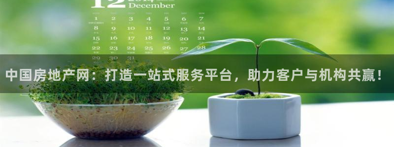 天狮娱乐会所：中国房地产网：打造一站式服务平台，助力客户与机