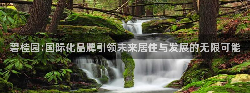天狮娱乐138：碧桂园:国际化品牌引领未来居住与发展的无限可