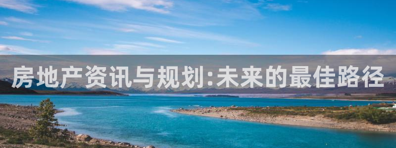 天狮娱乐卧J招商60447：房地产资讯与规划:未来的最佳路径