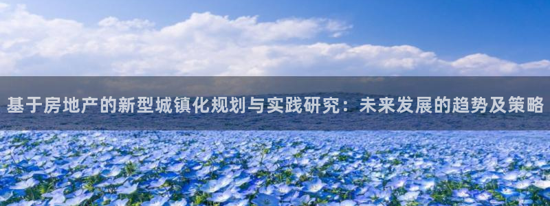 天狮天狮娱乐下载：基于房地产的新型城镇化规划与实践研究：未来