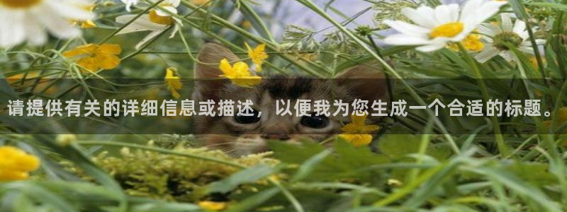 天狮娱乐注册：请提供有关的详细信息或描述，以便我为您生成一个