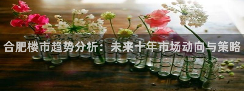 天狮娱乐 卧j招商60447：合肥楼市趋势分析：未来十年市场