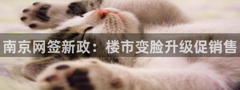 天狮娱乐注册：南京网签新政：楼市变脸升级促销售