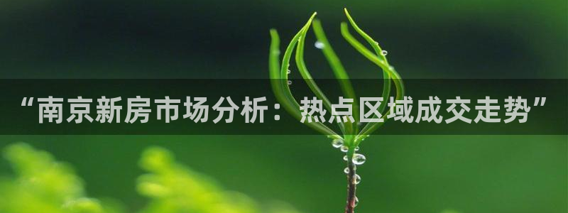 天狮娱乐 138：“南京新房市场分析：热点区域成交走势”