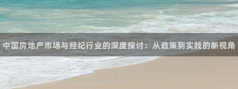 天狮娱乐 b主管61166：中国房地产市场与经纪行业的深度探