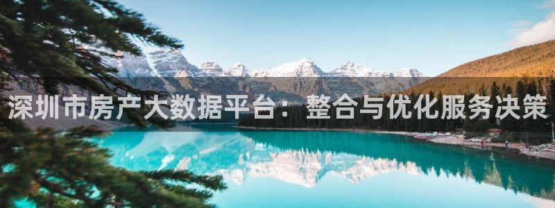 天狮娱乐招代理：深圳市房产大数据平台：整合与优化服务决策