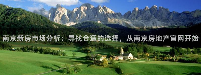 天狮娱乐是做什么的：南京新房市场分析：寻找合适的选择，从南京