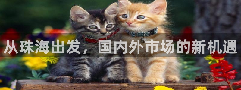 天狮娱乐平台找谁：从珠海出发，国内外市场的新机遇